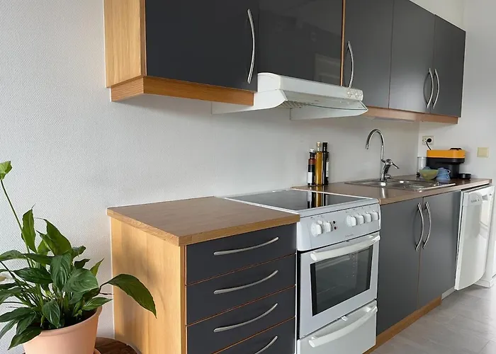 Apartament Ultra-central And Quiet, With Balcony